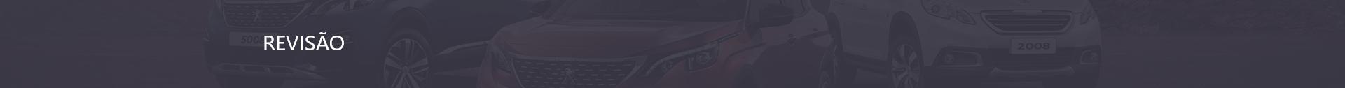 Banner Revisão